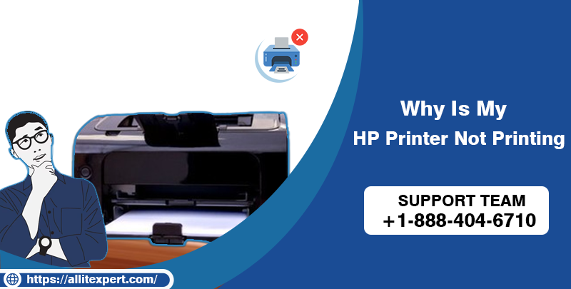 HP Printer Not Printing - Complete This 5 Step to Working Your HP Printer